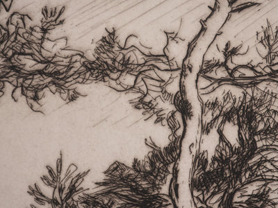 André DAUCHEZ : Les pins en bord de Méditerranée, Gravure originale signée