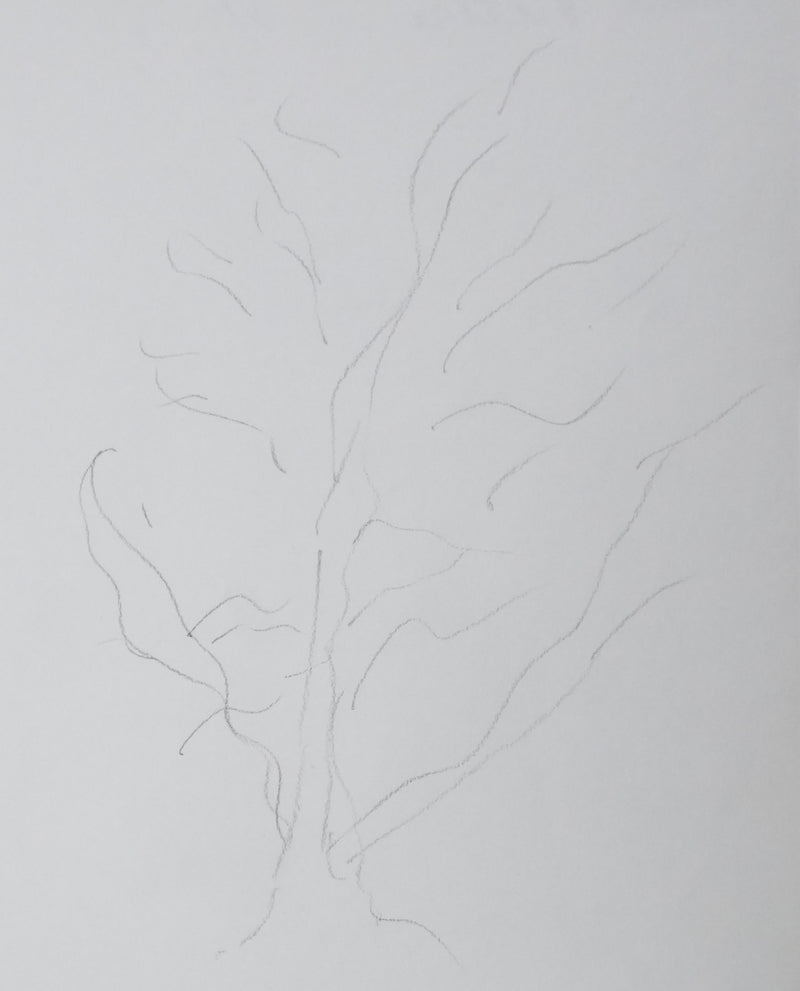 André PIETTRE : Les branches silencieuses, Autographe et dessin original signé