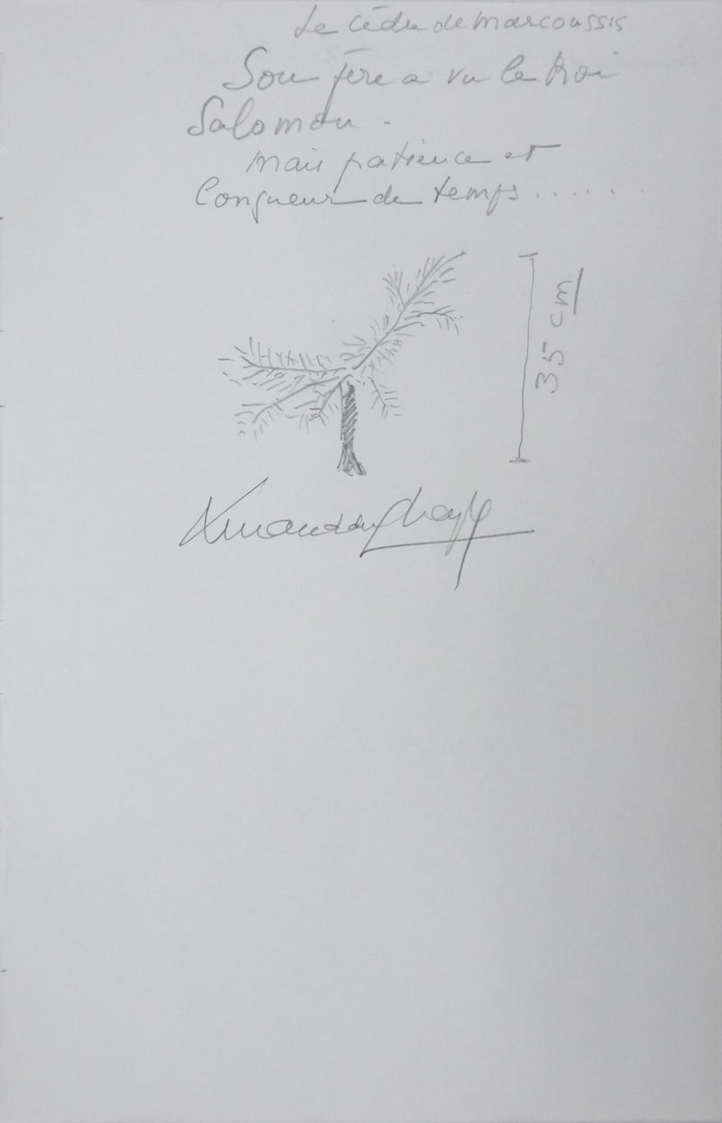 Armand DU CHAYLA : Le cèdre de Marcoussis, Autographe et dessin original signé