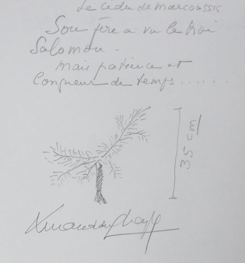 Armand DU CHAYLA : Le cèdre de Marcoussis, Autographe et dessin original signé