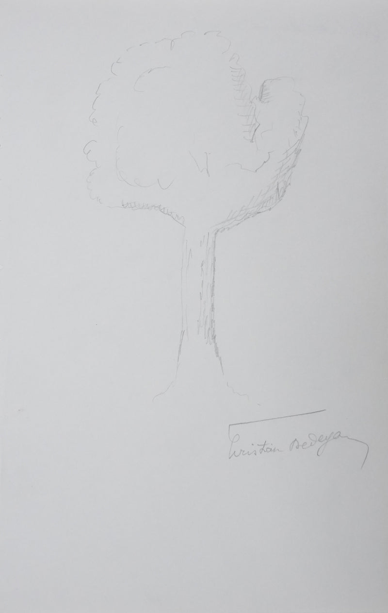 Christian DEDEYAN : L&