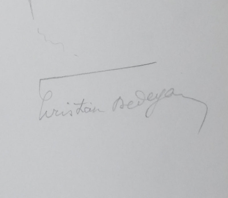 Christian DEDEYAN : L&