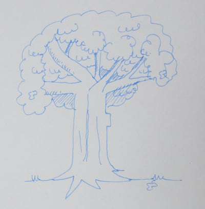 Erwan BERGOT : Le bois bleu, Autographe et dessin original signé