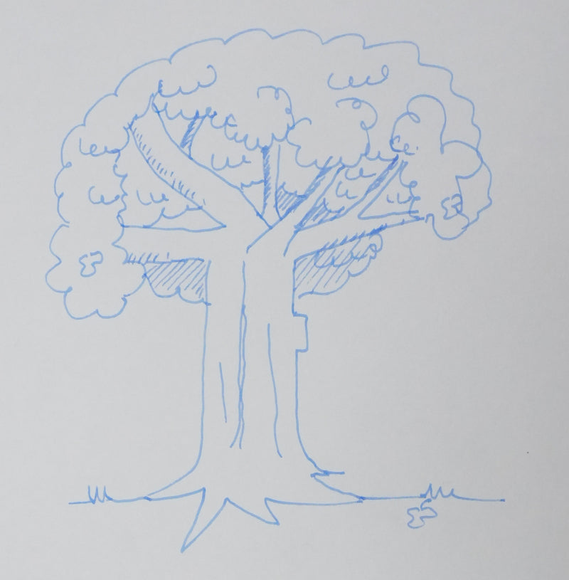 Erwan BERGOT : Le bois bleu, Autographe et dessin original signé