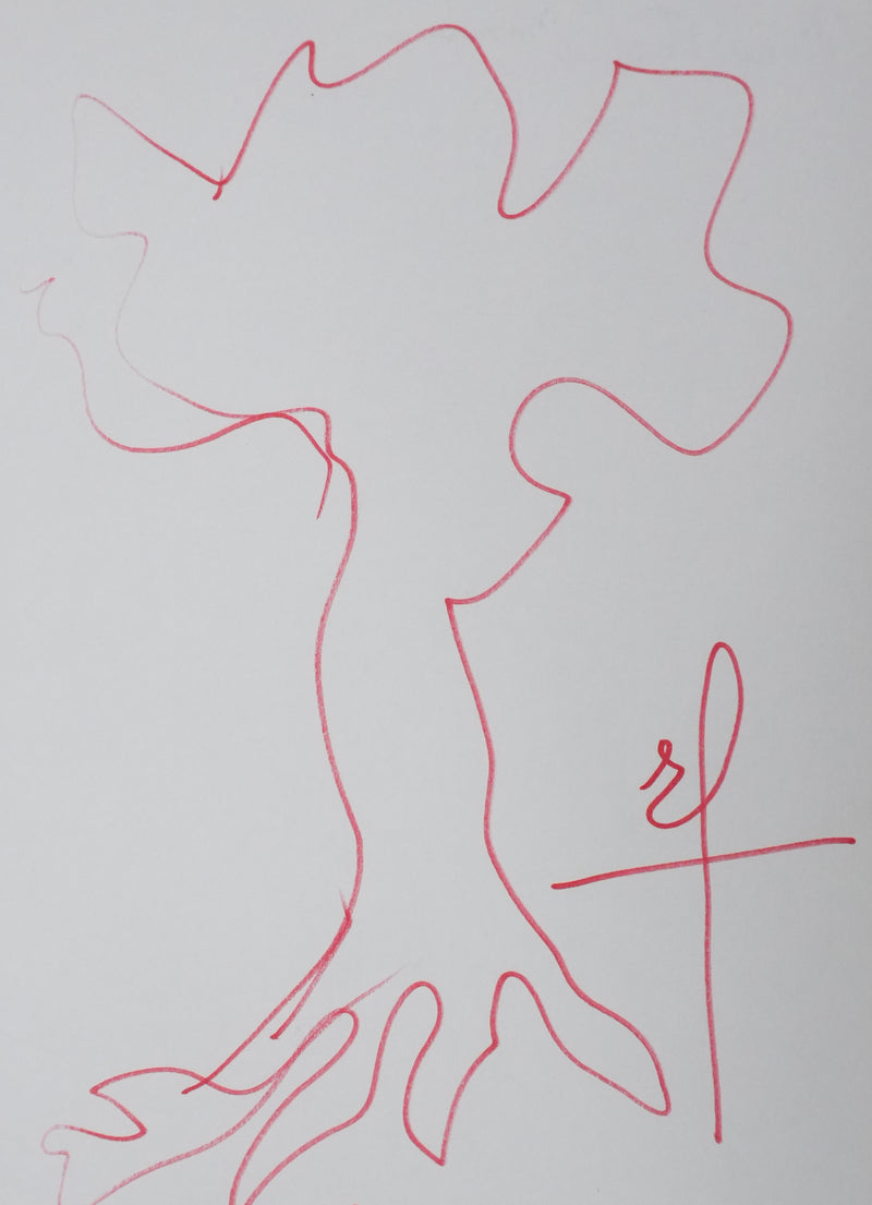 Rino FERRARI : La silhouette végétale rouge, Autographe et dessin original signé