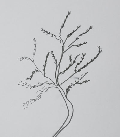 Gilles MARTINET : La branche noire, Autographe et dessin original signé