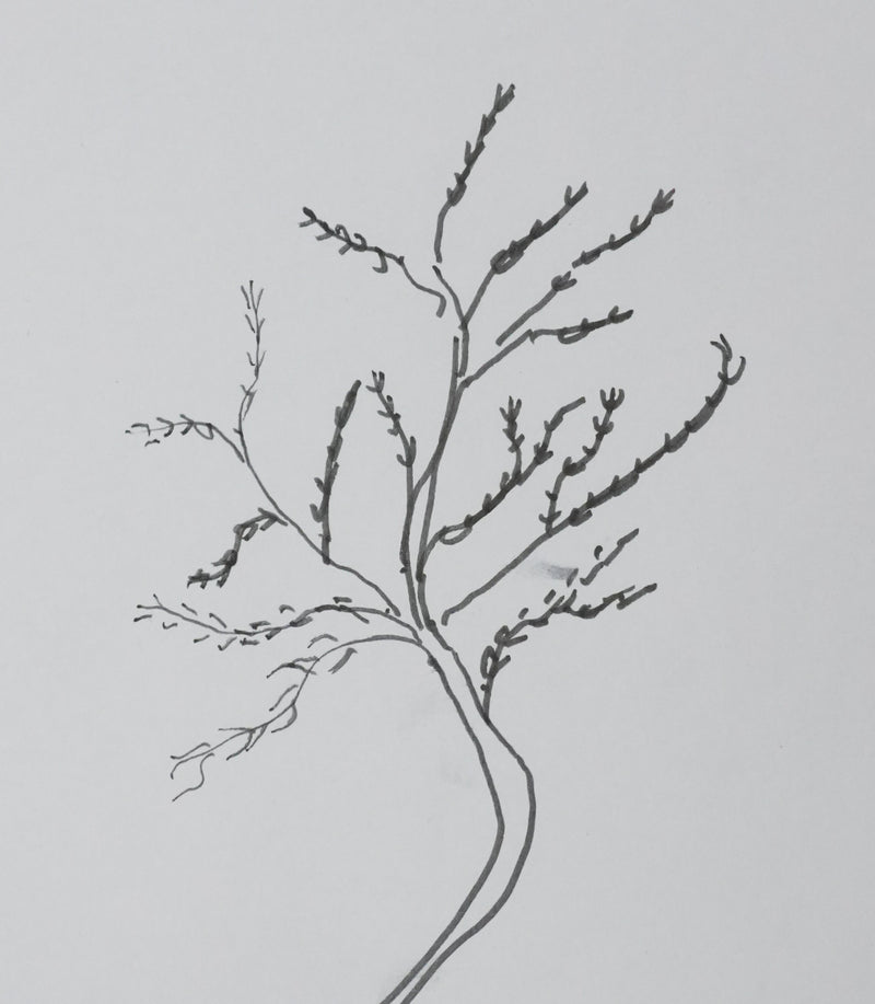 Gilles MARTINET : La branche noire, Autographe et dessin original signé