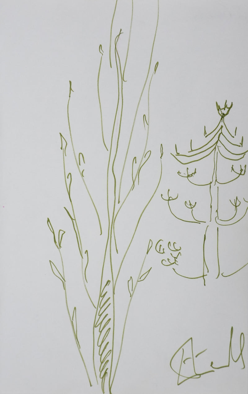 René ETIEMBLE : La végétation, Autographe et dessin original signé