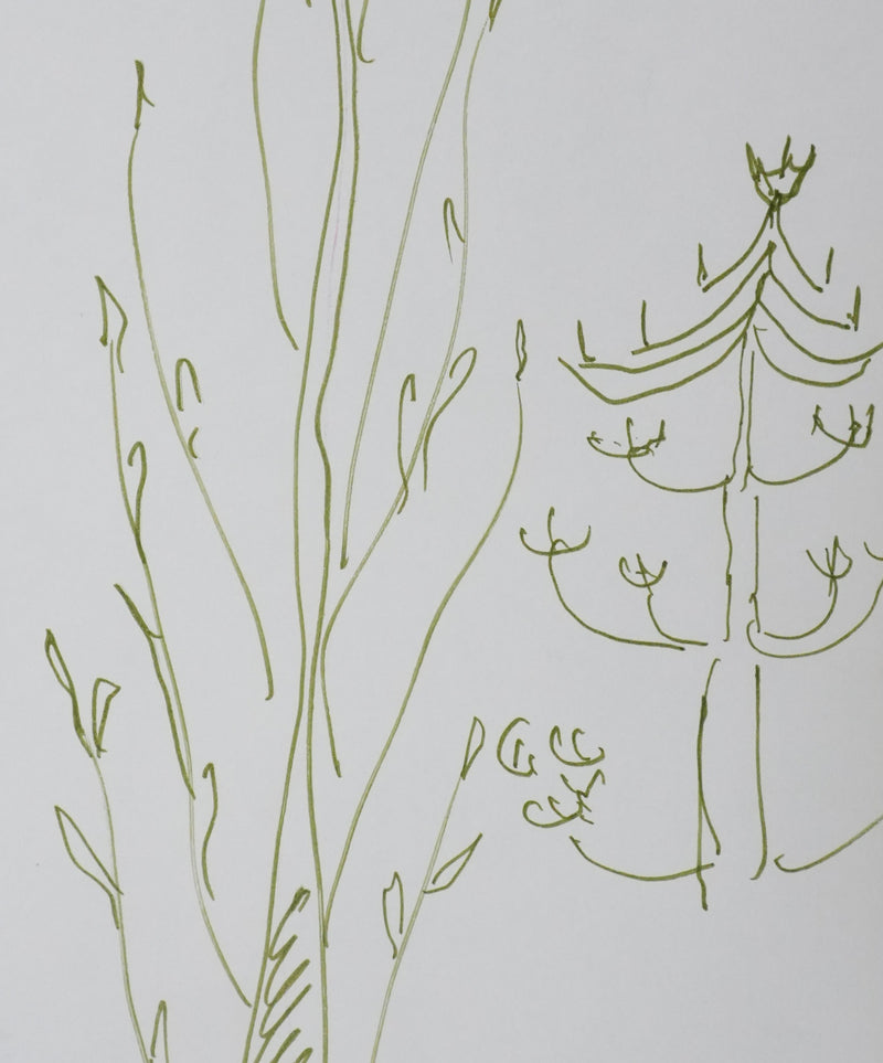 René ETIEMBLE : La végétation, Autographe et dessin original signé