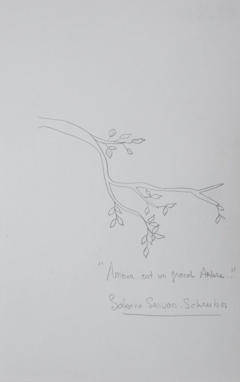 Sabine SERVAN SCHREIBER : L&