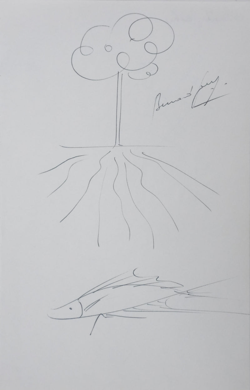 Bernard GORSHKY : Le poisson sous l&