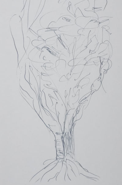 BOURNEUF : L'hêtre et le chêne entrelacé, Autographe et dessin original signé