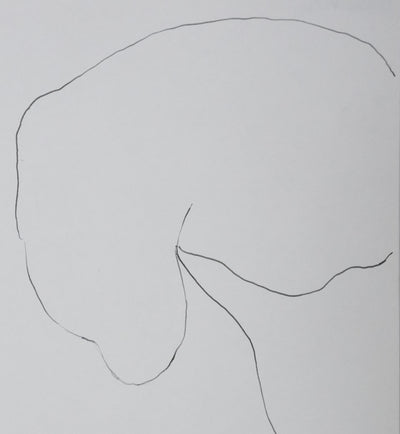 Esther VILAR : Le nuage de feuilles, Autographe et dessin original signé