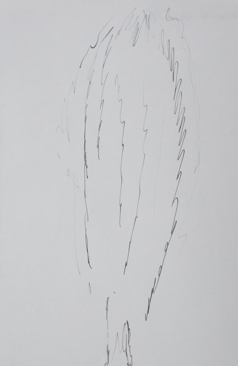 Catherine DE CASTILHO : Le peuplier, Autographe et dessin original signé