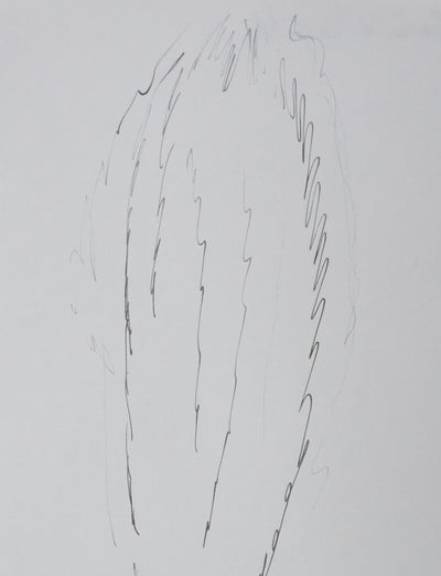 Catherine DE CASTILHO : Le peuplier, Autographe et dessin original signé