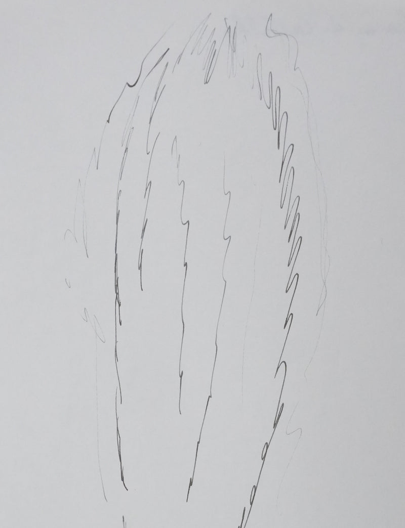 Catherine DE CASTILHO : Le peuplier, Autographe et dessin original signé