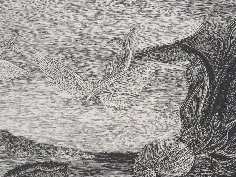 Herbert LESPINASSE : Sirène et coquillages, Gravure sur bois originale signée