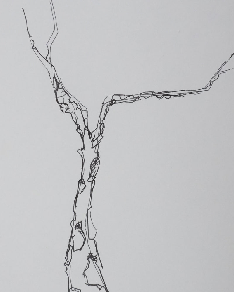 Hubert MONTLOUP : L&