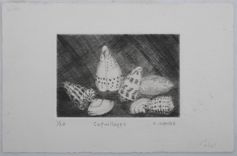Camille COMBE : Coquillages, Gravure originale signée
