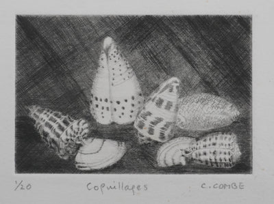 Camille COMBE : Coquillages, Gravure originale signée
