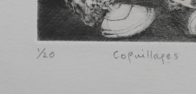 Camille COMBE : Coquillages, Gravure originale signée