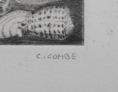 Camille COMBE : Coquillages, Gravure originale signée