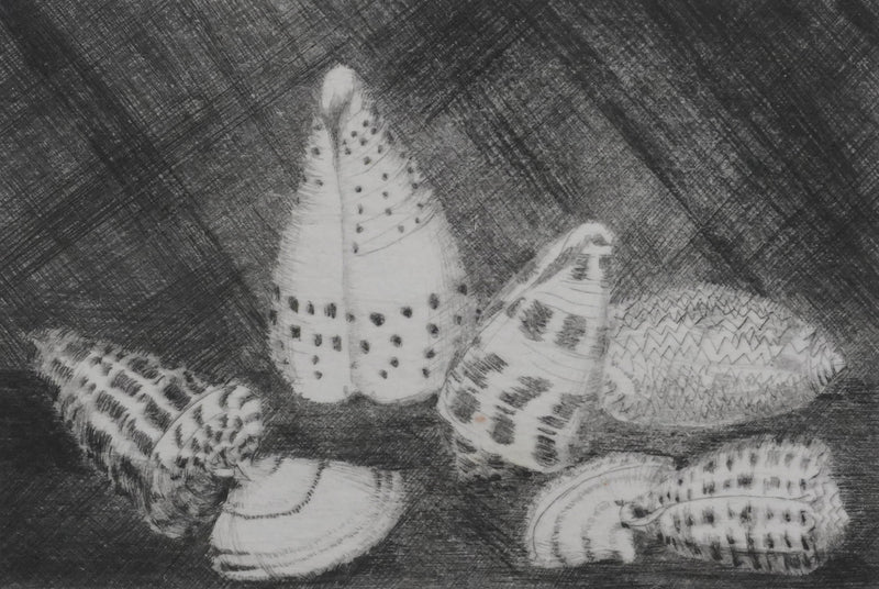 Camille COMBE : Coquillages, Gravure originale signée