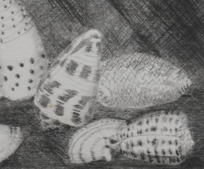 Camille COMBE : Coquillages, Gravure originale signée