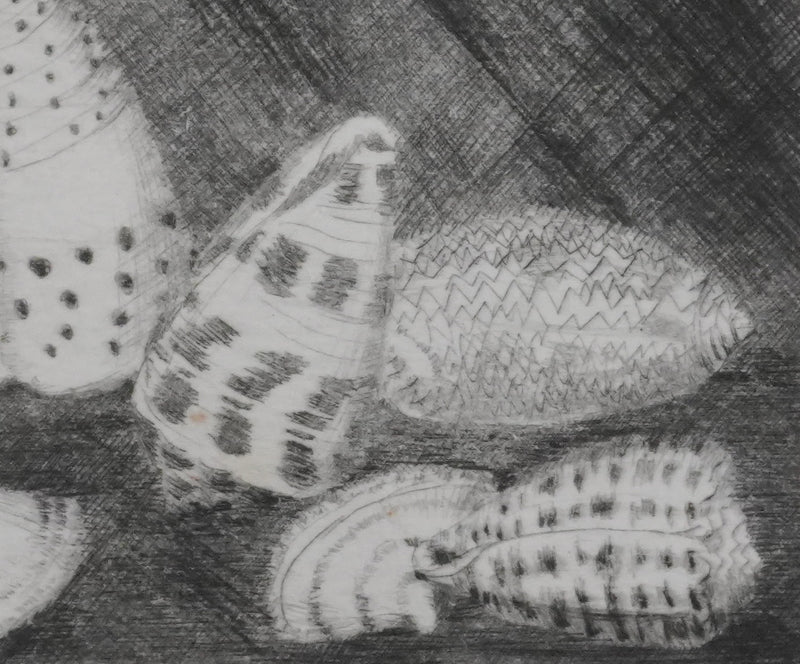 Camille COMBE : Coquillages, Gravure originale signée