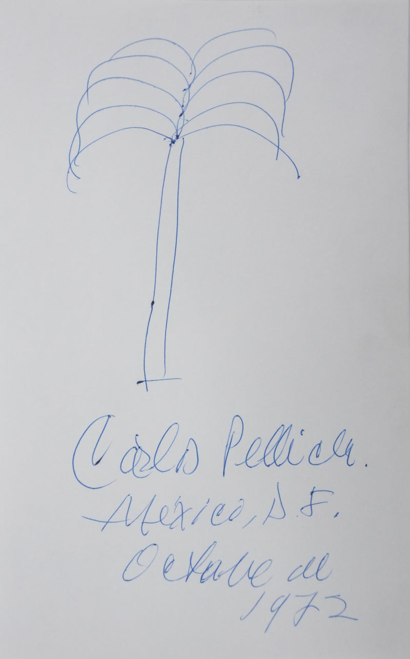 Carlos PELLICER : L&