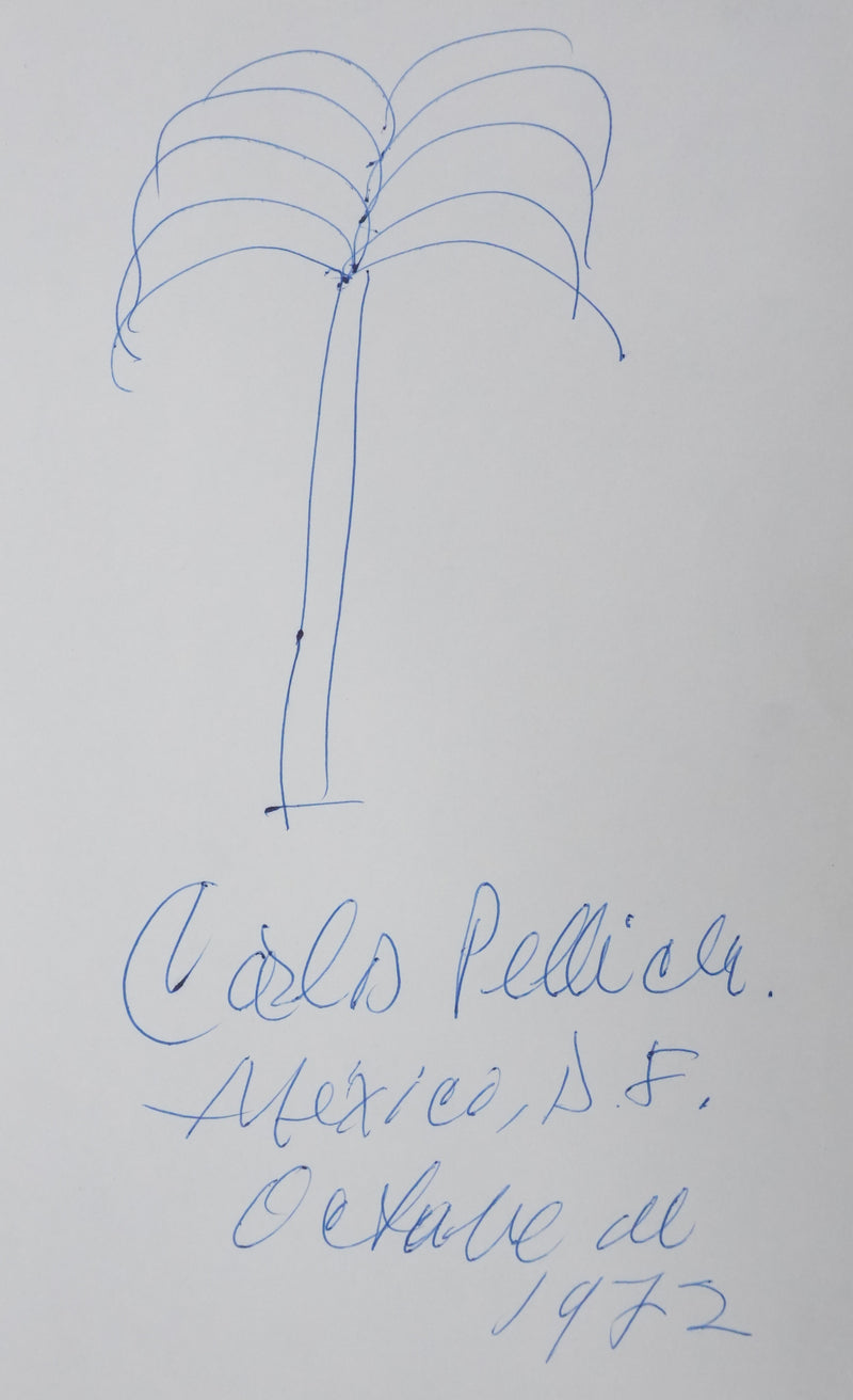 Carlos PELLICER : L&