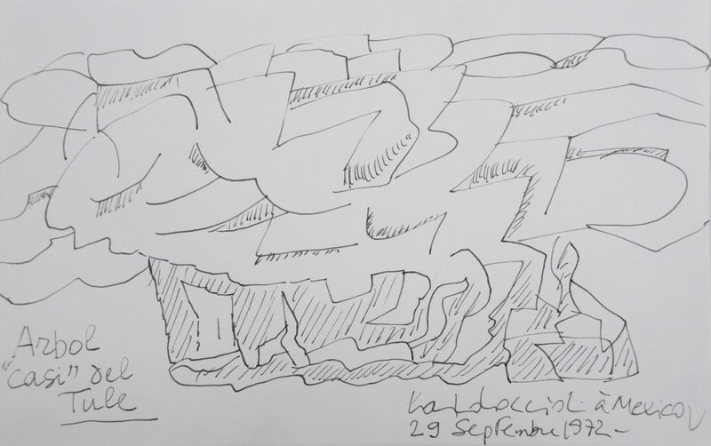 Carlo COCCIOLI : Arbol casi del Tule, Autographe et dessin original signé