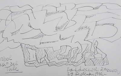 Carlo COCCIOLI : Arbol casi del Tule, Autographe et dessin original signé