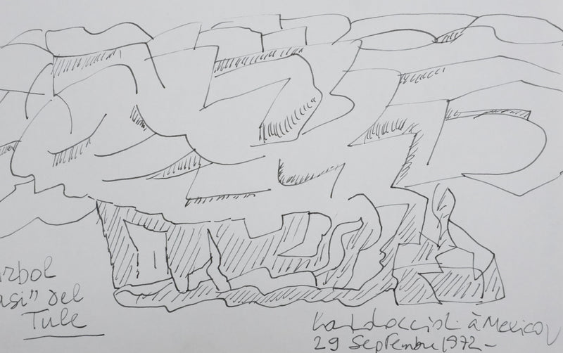 Carlo COCCIOLI : Arbol casi del Tule, Autographe et dessin original signé