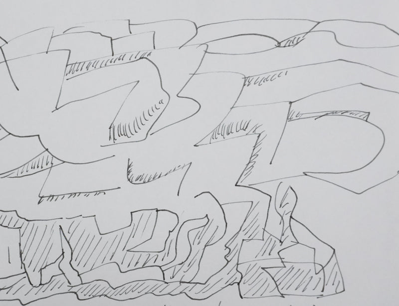 Carlo COCCIOLI : Arbol casi del Tule, Autographe et dessin original signé