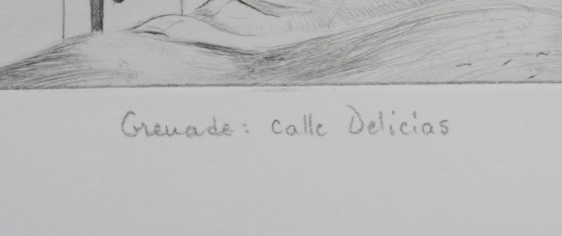 Camille COMBE : Grenade Calle Delicias, Gravure originale signée