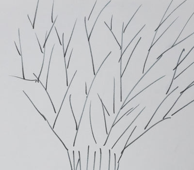 Annette COLIN-SIMARD : La joie des arbres, Autographe et dessin original signé