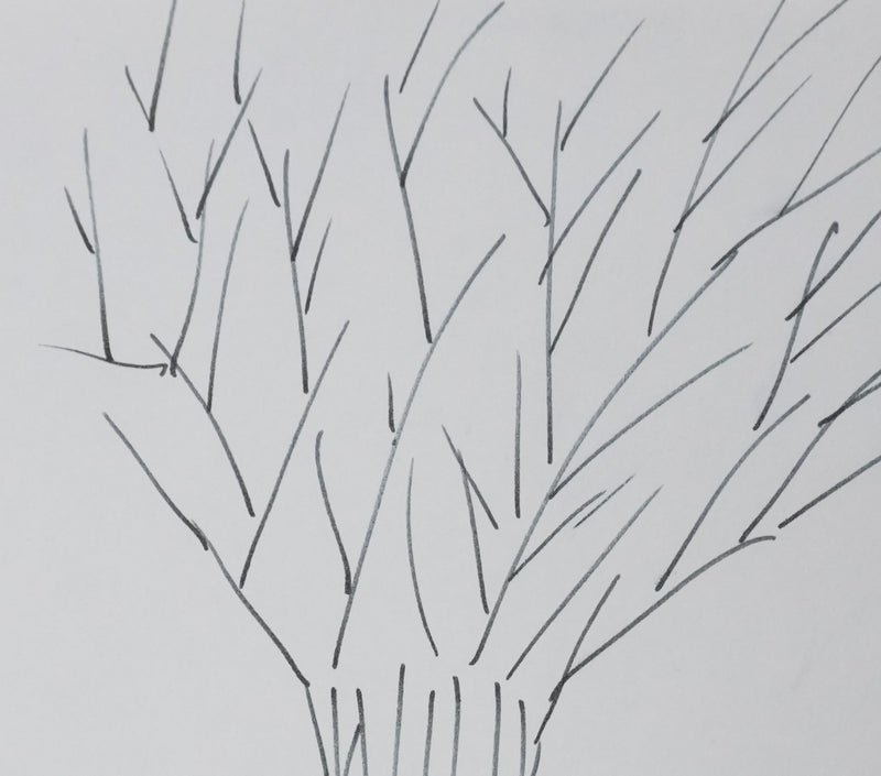 Annette COLIN-SIMARD : La joie des arbres, Autographe et dessin original signé