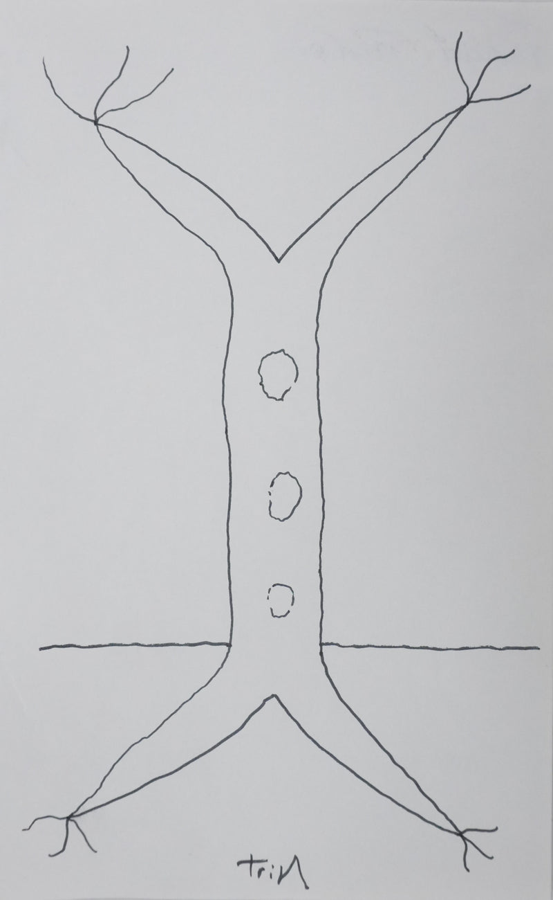 Frédérick TRISTAN : L&