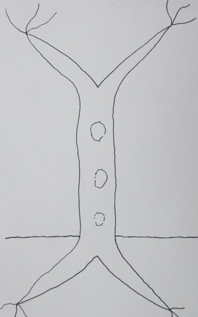 Frédérick TRISTAN : L'arbre aux trois pois, Autographe et dessin original signé