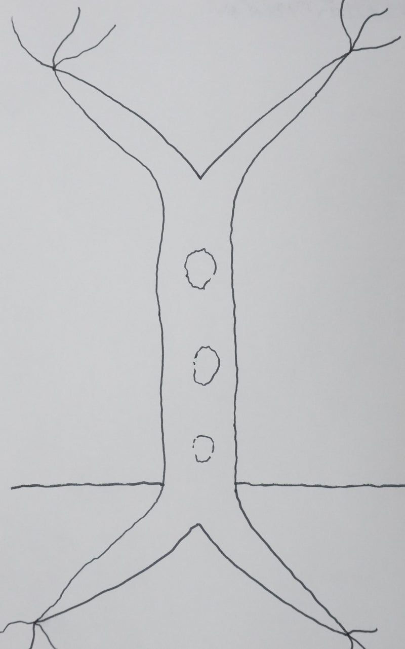 Frédérick TRISTAN : L&