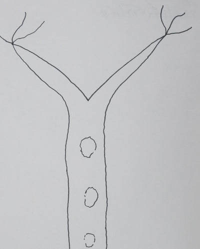 Frédérick TRISTAN : L'arbre aux trois pois, Autographe et dessin original signé