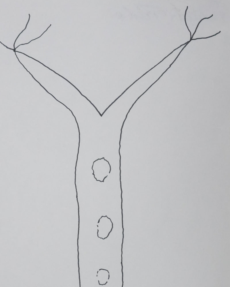 Frédérick TRISTAN : L&