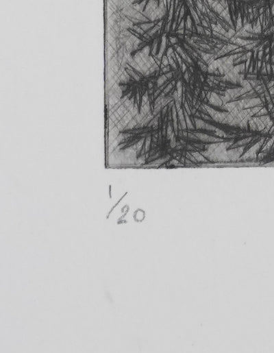 Camille COMBE : La cascade, Gravure originale signée