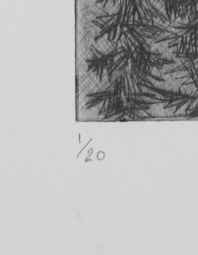 Camille COMBE : La cascade, Gravure originale signée