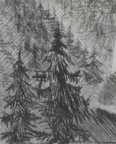 Camille COMBE : La cascade, Gravure originale signée