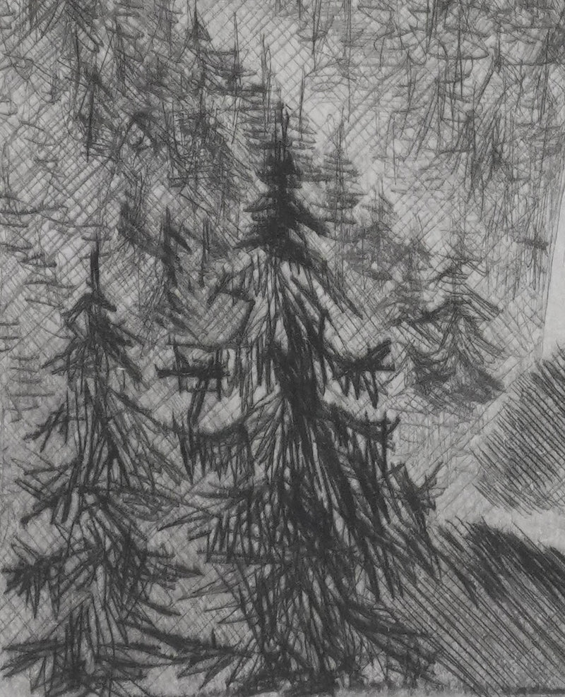 Camille COMBE : La cascade, Gravure originale signée