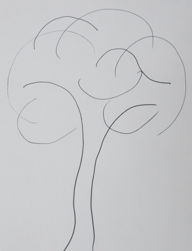 NADINE : Le bel arbre noir, Autographe et dessin original signé