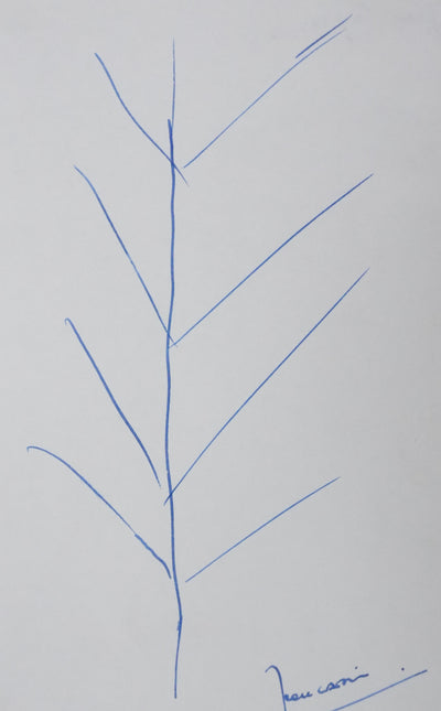 Jean CAPIN : Arbre très élagué, Autographe et dessin original signé