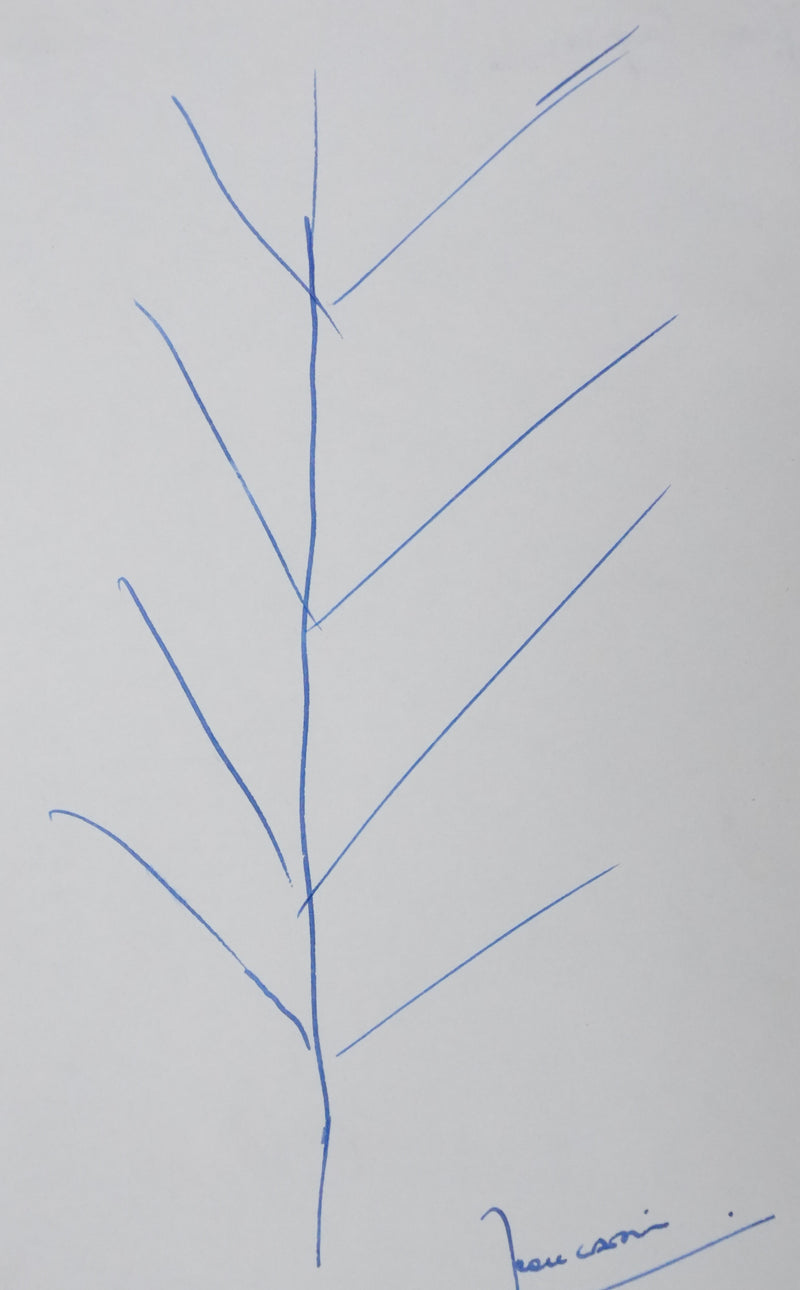 Jean CAPIN : Arbre très élagué, Autographe et dessin original signé